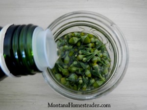How to make a homemade herb infused oil | Montana Homesteader