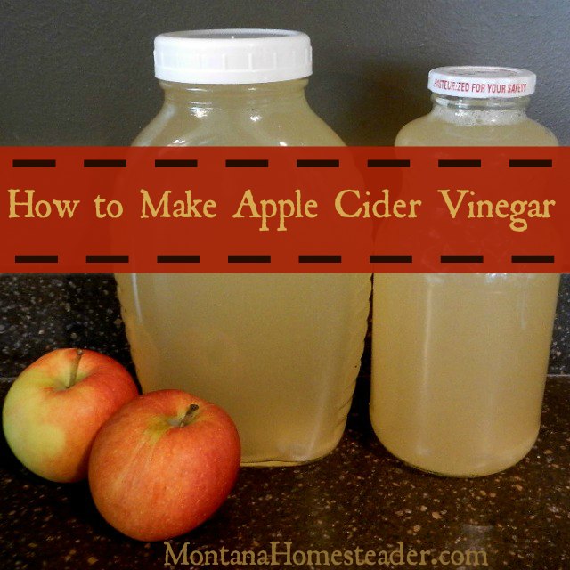 How to make apple cider vinegar | Montana Homesteader