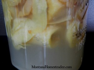 How to make homemade apple cider vinegar ACV from apple scraps | Montana Homesteader