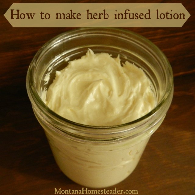 How to make lotion with herb infused oil | Montana Homesteader