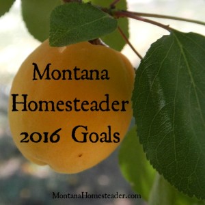 Montana Homesteader 2016 homestead goals