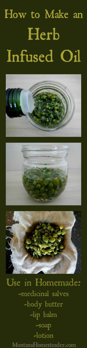 How to make and use an herb infused oil | Montana Homesteader