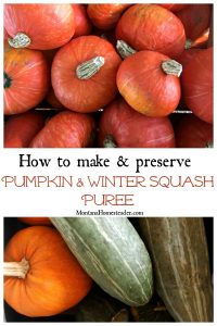 How to make and preserve pumpkin and winter squash puree with picture showing a variety of winter squash