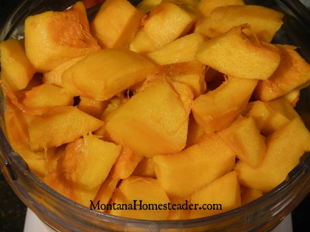How to make pumpkin and winter squash puree and preserve it | Montana Homesteader