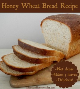 Our favorite honey wheat bread recipe makes 3 loaves | Montana Homesteader
