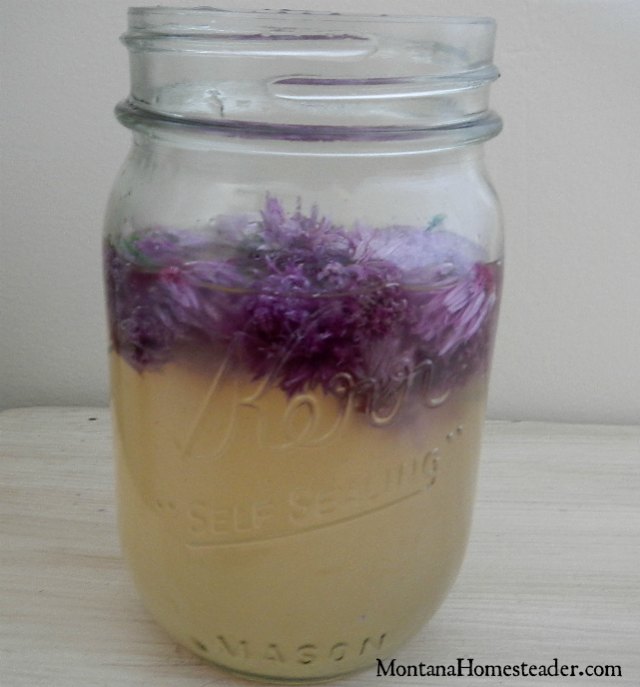 How to make DIY infused chive vinegar | Montana Homesteader