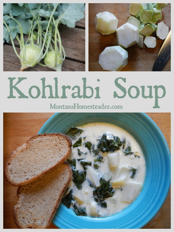 Traditional German Hungarian Kohlrabi Soup Recipe how to make it