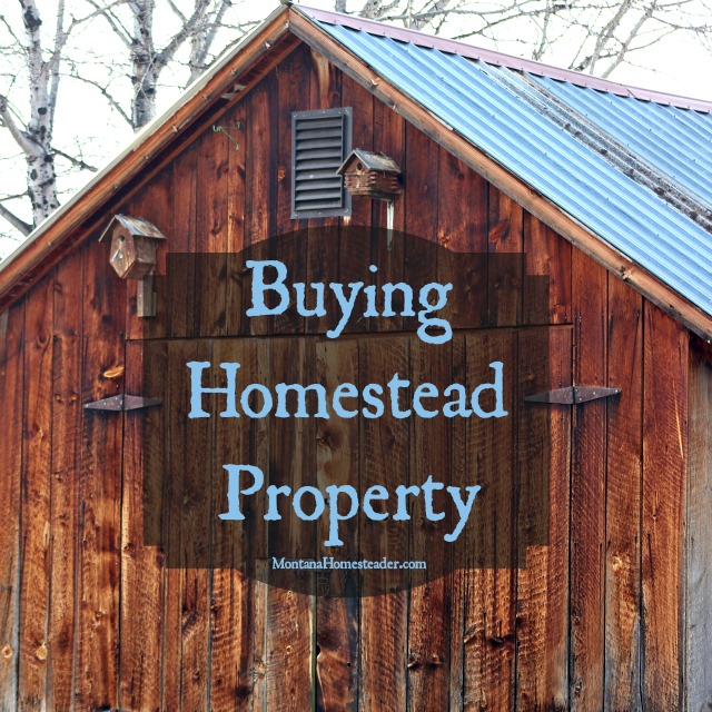 tips for buying homestead property montana homesteader