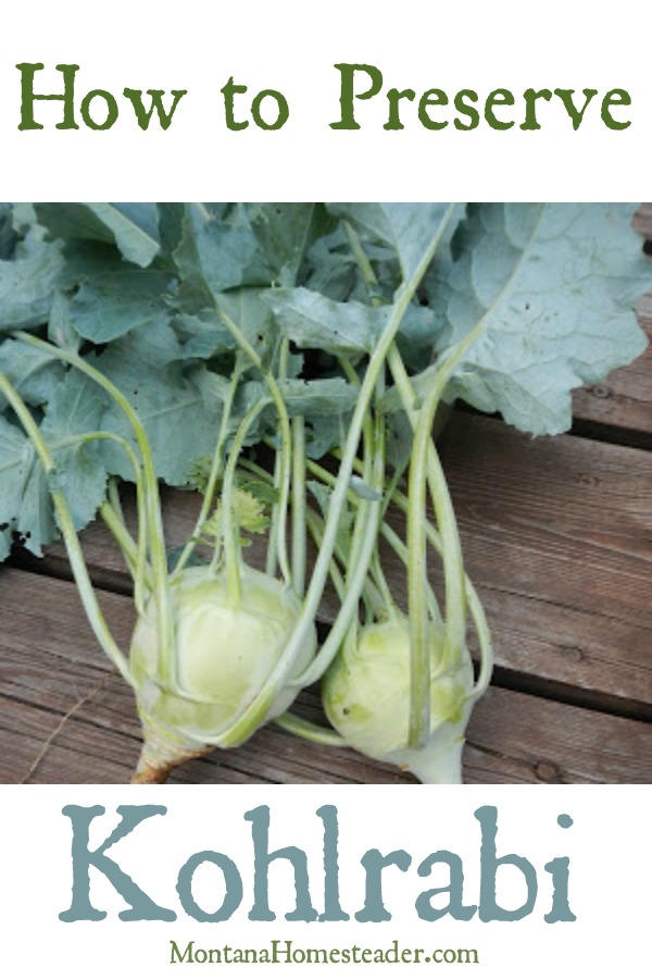 Preserving Kohlrabi