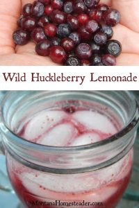 Huckleberry lemonade recipe | Montana Homesteader