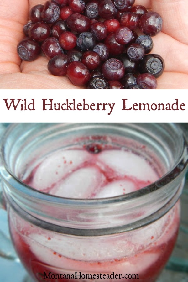 Huckleberry lemonade recipe | Montana Homesteader