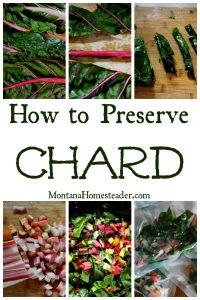 chard leaves and stems being choppeed and blanched to preserve them by freezing in vaccum sealed bags