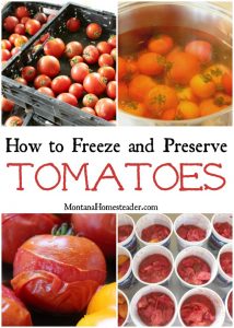 crates of tomatoes, tomatoes in boiling water, tomatoes with skin peeling and freezer containers of peeled and chopped tomatoes ready to freeze and preserve