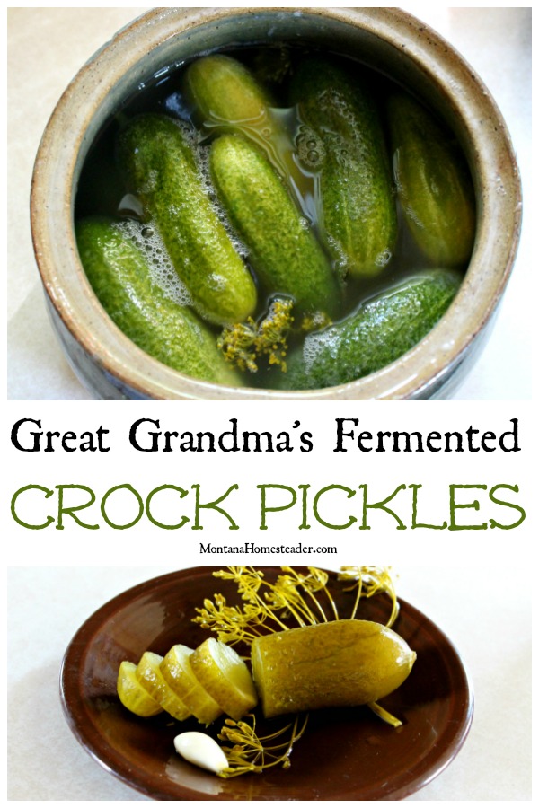 Fermenting pickles in a crock and sliced fermented pickle to explain how to make fermented pickles
