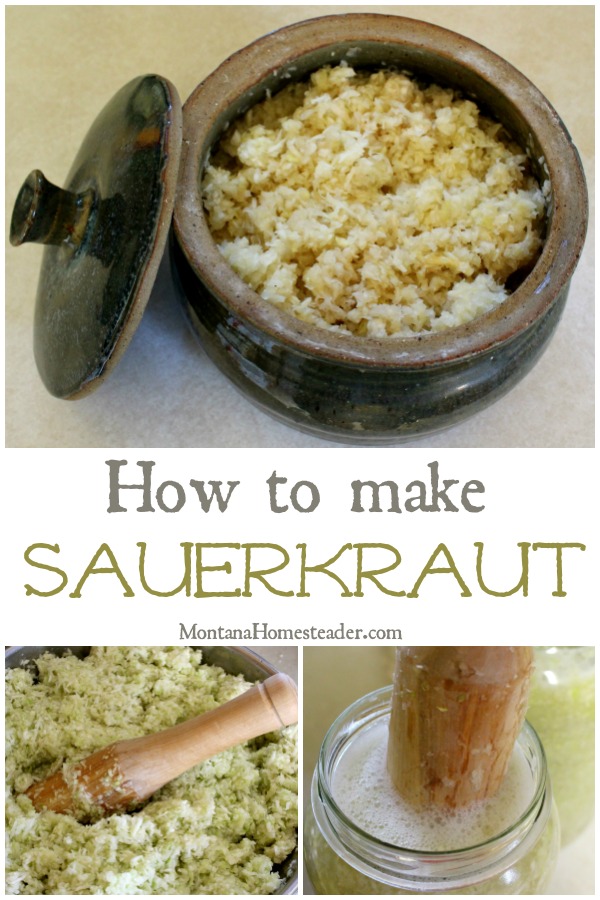 How to make fermented sauerkraut with a picture of shredded cabbage being pounded to make sauerkraut and the final fermented sauerkraut in a handmade crock