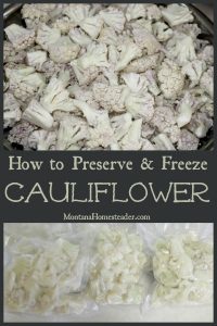 How to preserve and freeze cauliflower with a picture of a bowl of chopped cauliflower and a picture of vacuum sealed packs of cauliflower to preserve and freeze