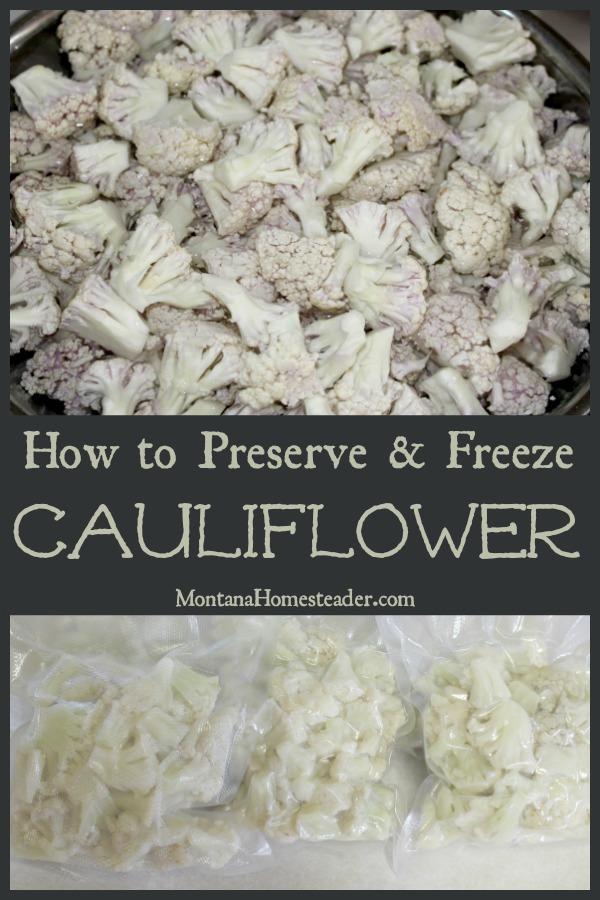 How to preserve and freeze cauliflower with a picture of a bowl of chopped cauliflower and a picture of vacuum sealed packs of cauliflower to preserve and freeze