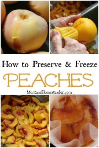 How to preserve and freeze peaches picture showing skin pealing on fresh peach, bowl of chopped peaches and container of peaches in light syrup topped with waxed paper to help prevent browning when freezing