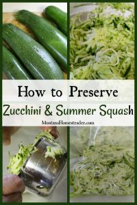 Whole zucchini being shredded in a food processor then packed into food storage bags to be vaccuum sealed and preserved