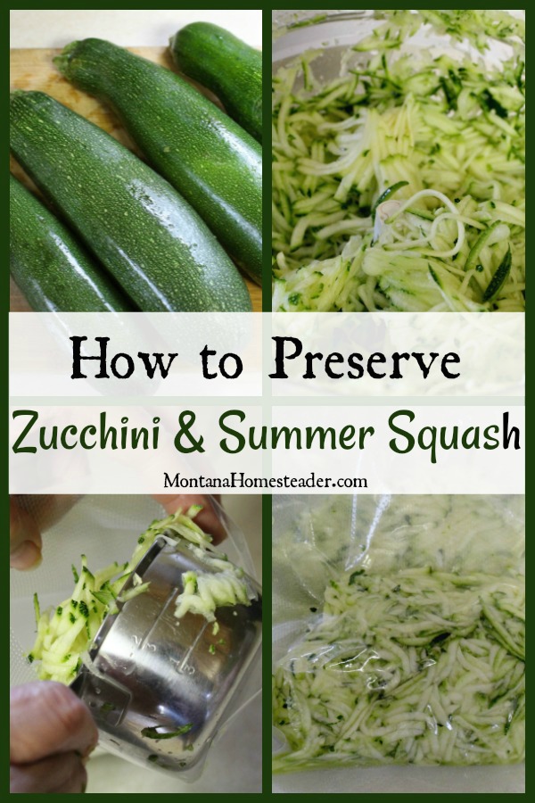 Whole zucchini being shredded in a food processor then packed into food storage bags to be vaccuum sealed and preserved