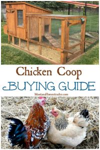 Chicken Coop buying guide with a picture of chickens and a chicken coop with attached run and exterior nest boxes