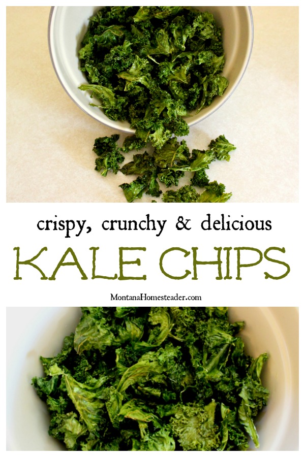 A bowl of crispy crunchy and delicious kale chips Montana Homesteader blog
