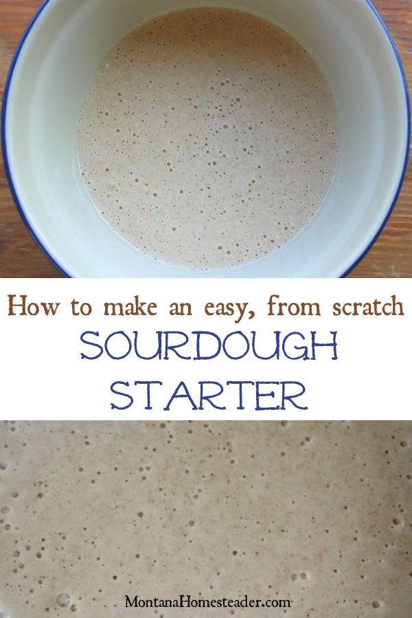 making sourdough starter from scratch with wild yeast