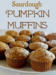 Plate of delicious homemade sourdough pumpkin muffins