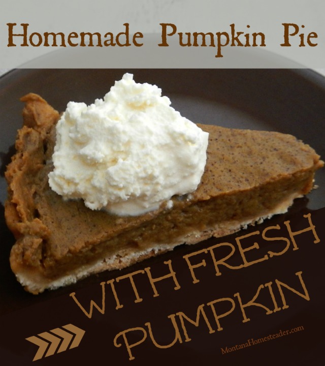 Homemade pumpkin pie made with fresh pumpkin