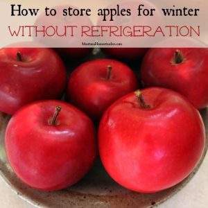 Storing apples long term for winter without refrigeration