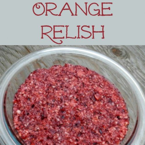 Honey sweetened raw cranberry orange relish