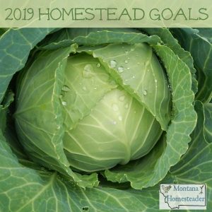 Setting goals for the homestead in 2019