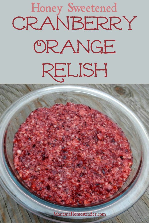 Honey sweetened raw cranberry orange relish salad
