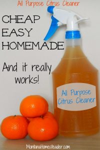 Homemade all purpose citrus cleaner is a cheap and easy DIY project