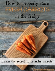 Fresh carrots stored properly in the refrigerator to stay crunchy