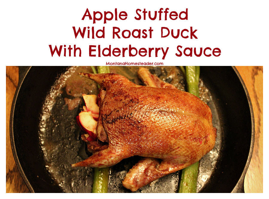 Wild Roast Duck recipe