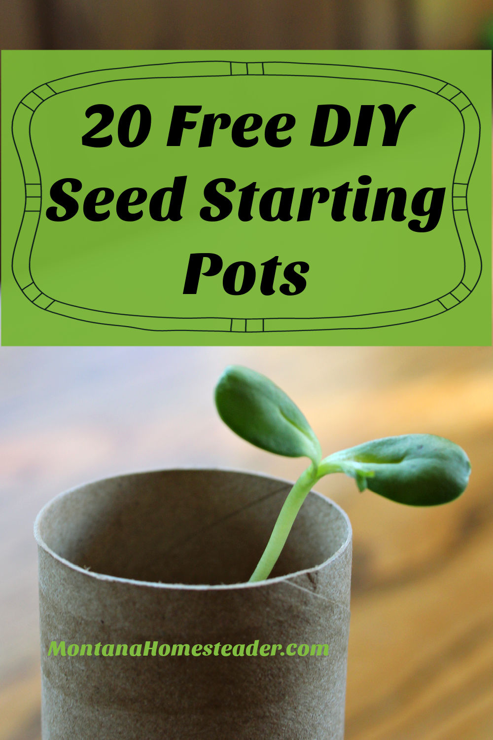 20 free seed starting pots from reused and repurposed items