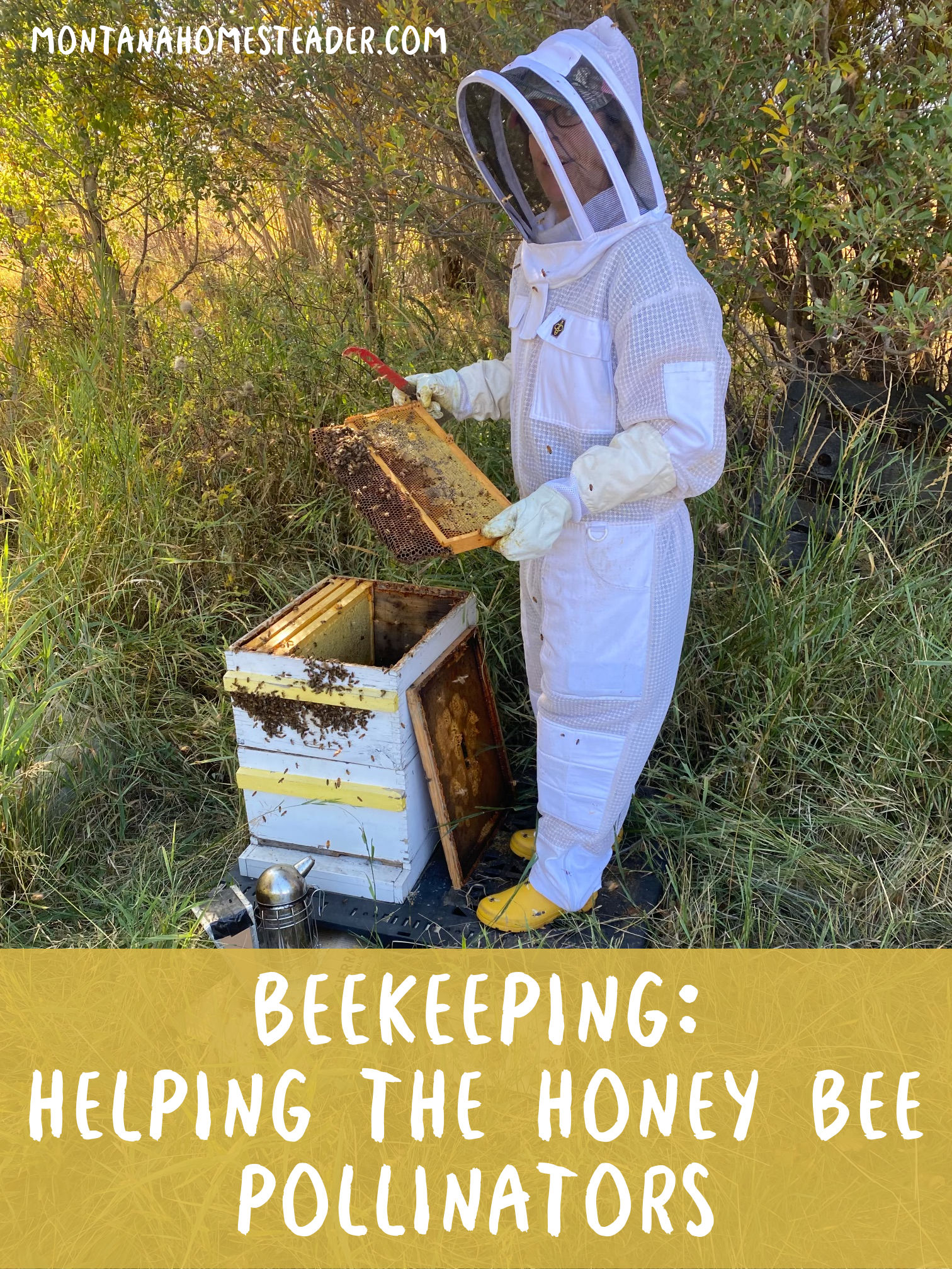A beekeeper helping honey bee pollinators by having a backyard bee hive