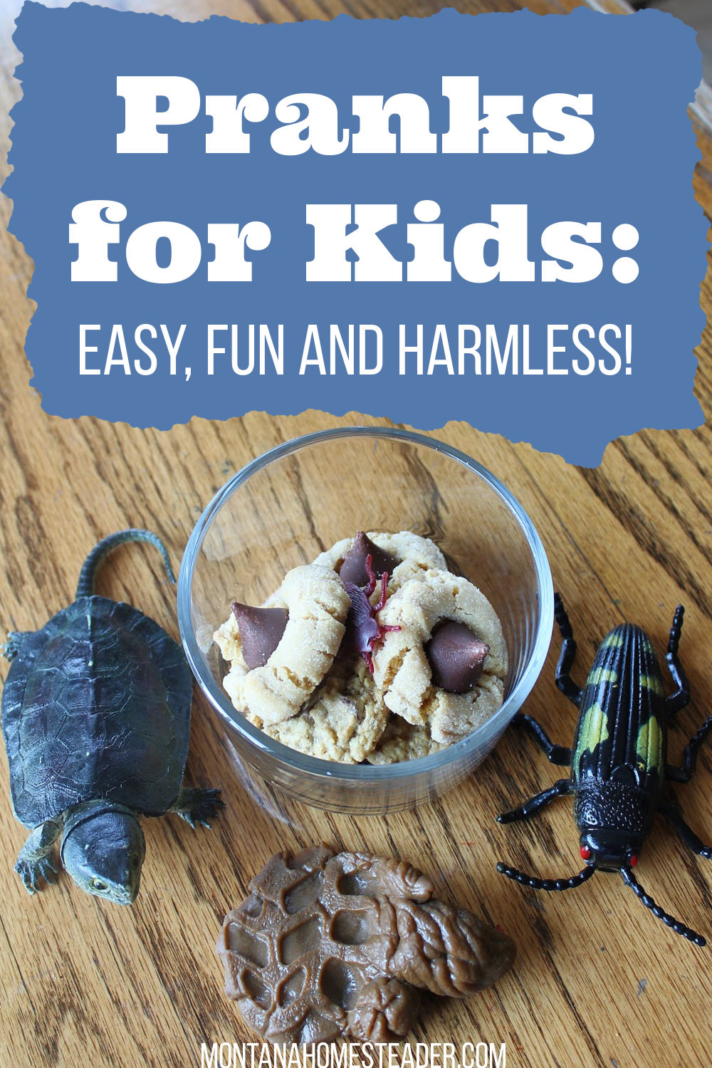 easy fun and harmless pranks for kids bug in cookies and fake poop