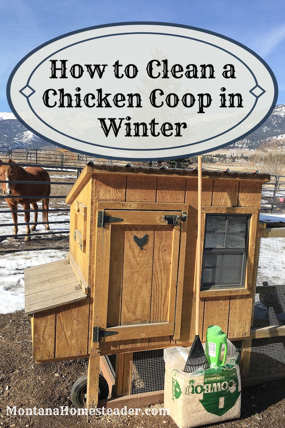 How to clean out a chicken coop in winter tips and tricks for cold weather coop cleaning