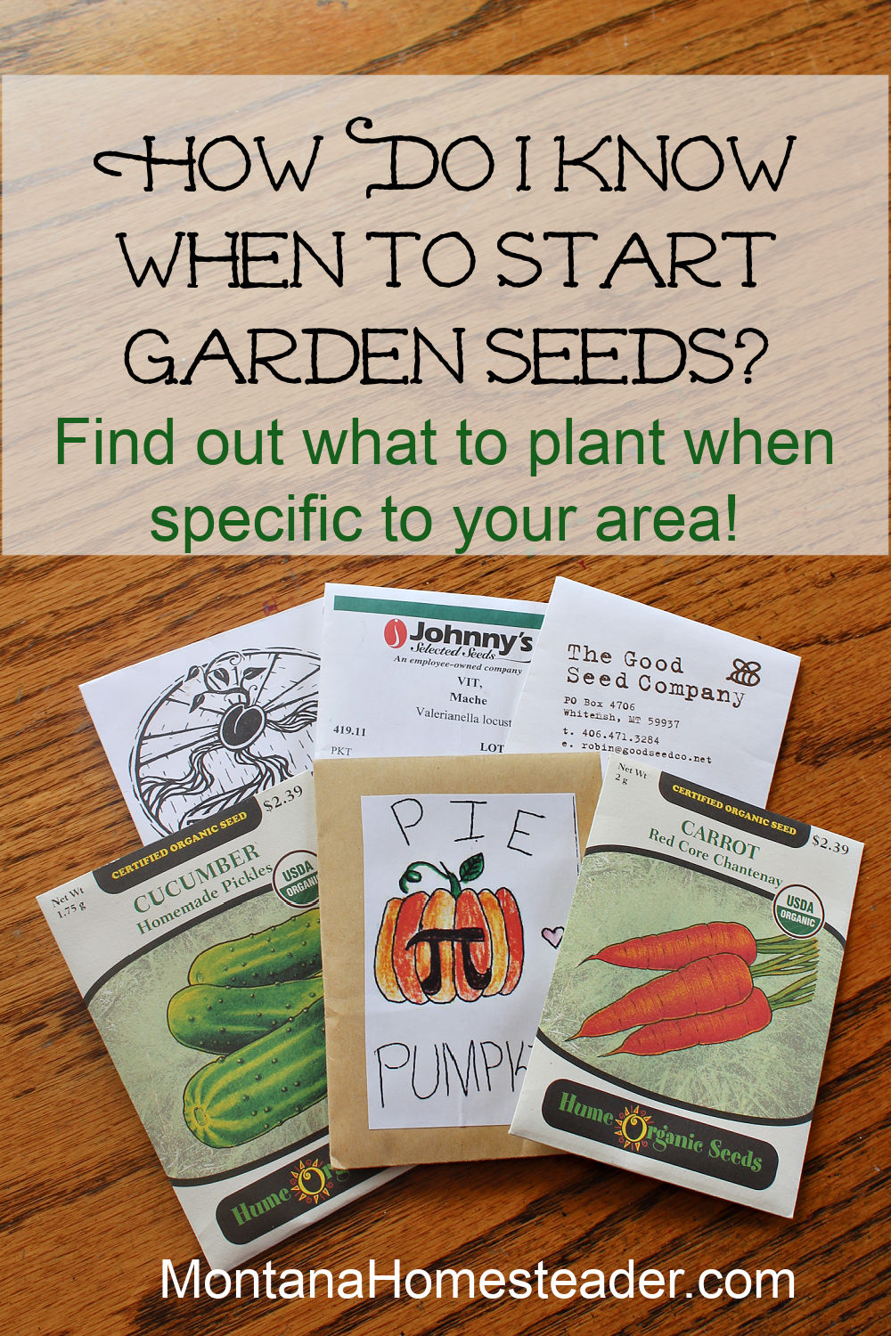 Learn how to know when to plant garden seeds in your area