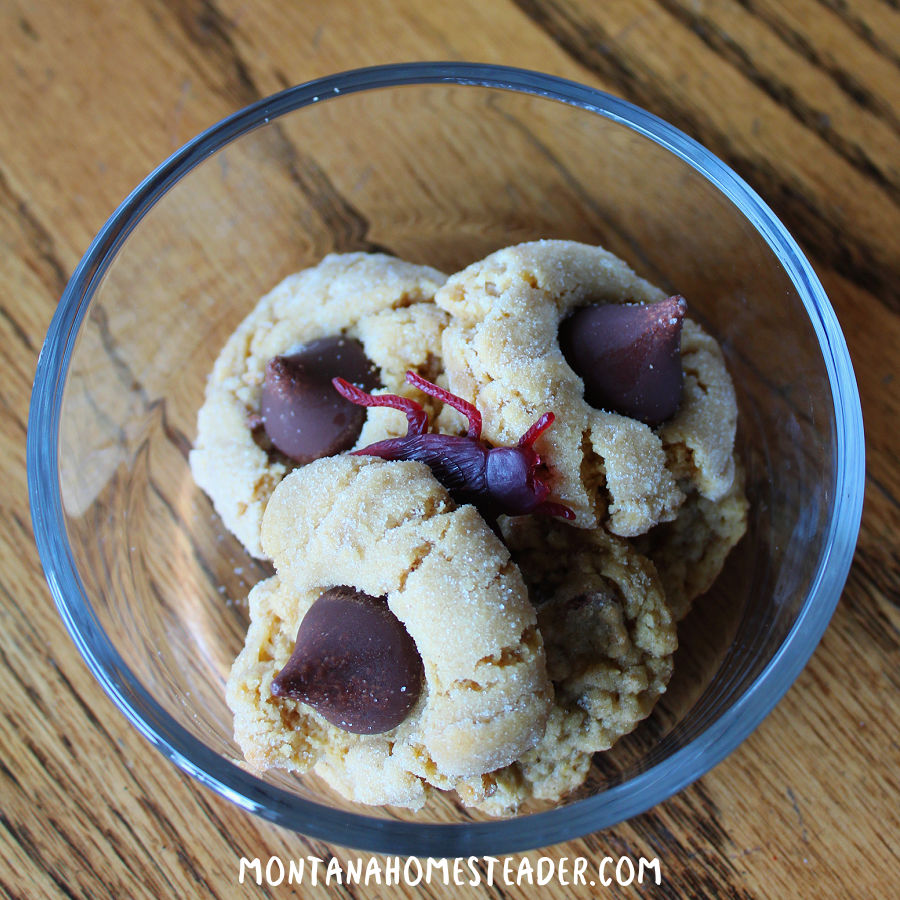 hiding a cockroach bug in the cookies for a fun easy harmless prank for kids for April Fool's Day