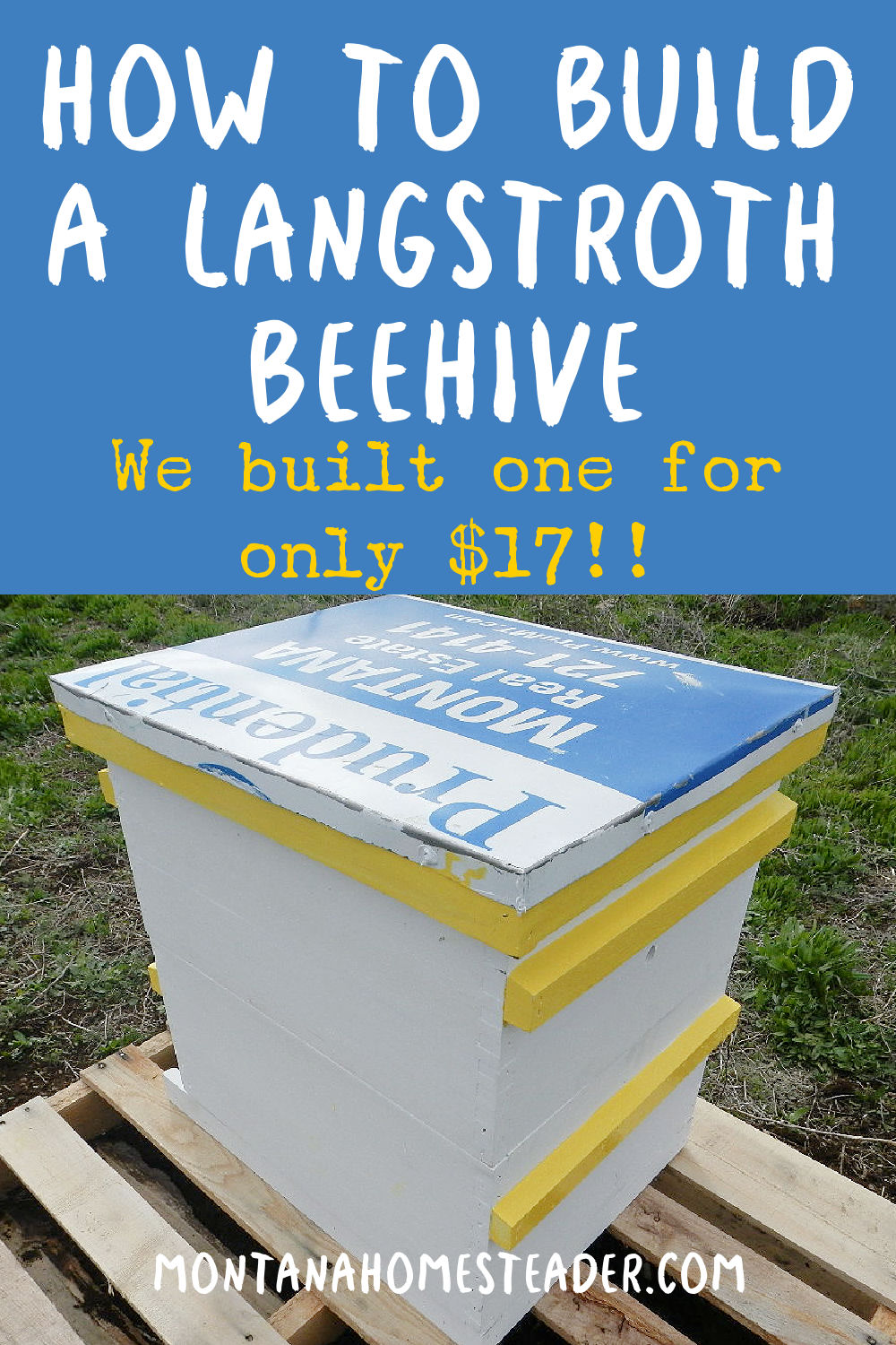 How to build a 10 frame Langstroth beehive and frames for cheap easy DIY project for beekeepers beekeeping