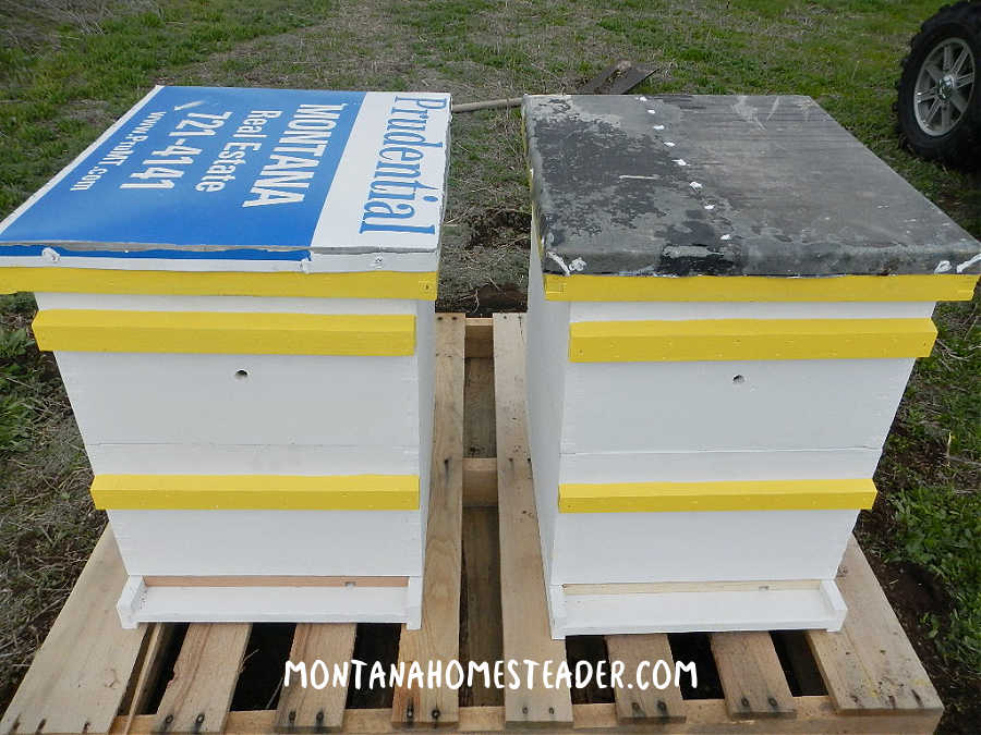 How to make Langstroth beehives for cheap by using reusing repurposing building materials