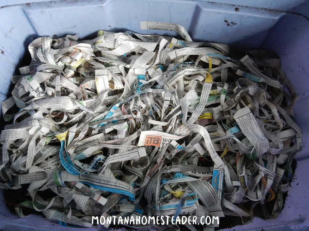 How to make a worm compost bin in a plastic storage tub adding layers of paper worms food scraps and shredded newspaper for vermicomposting