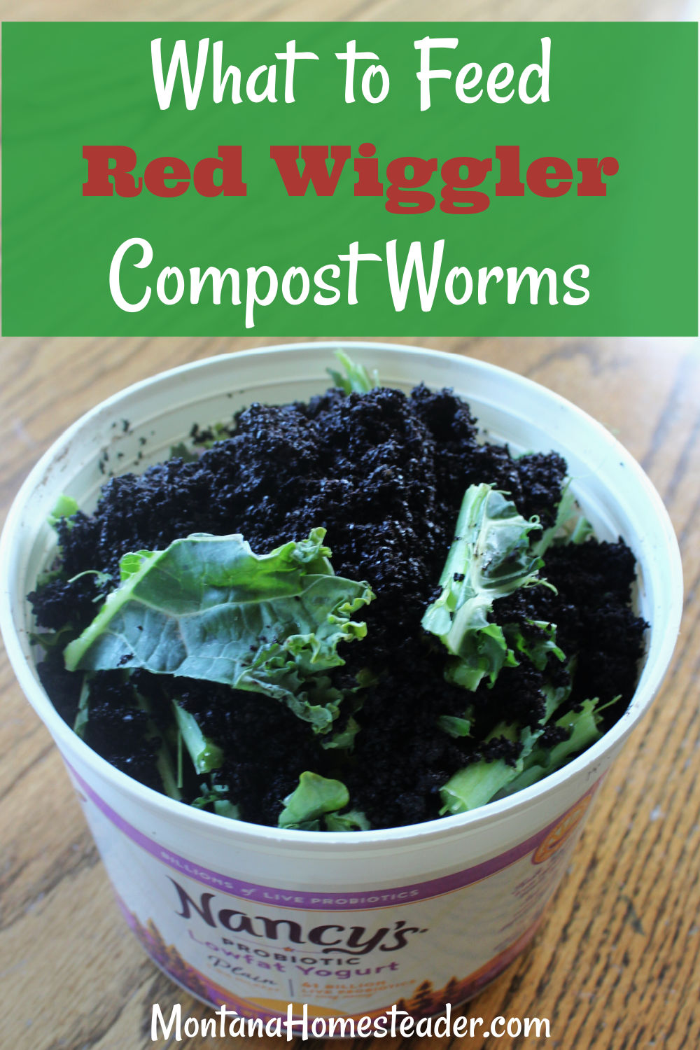 How to safely feed Red Wiggler compost worms for vermicomposting