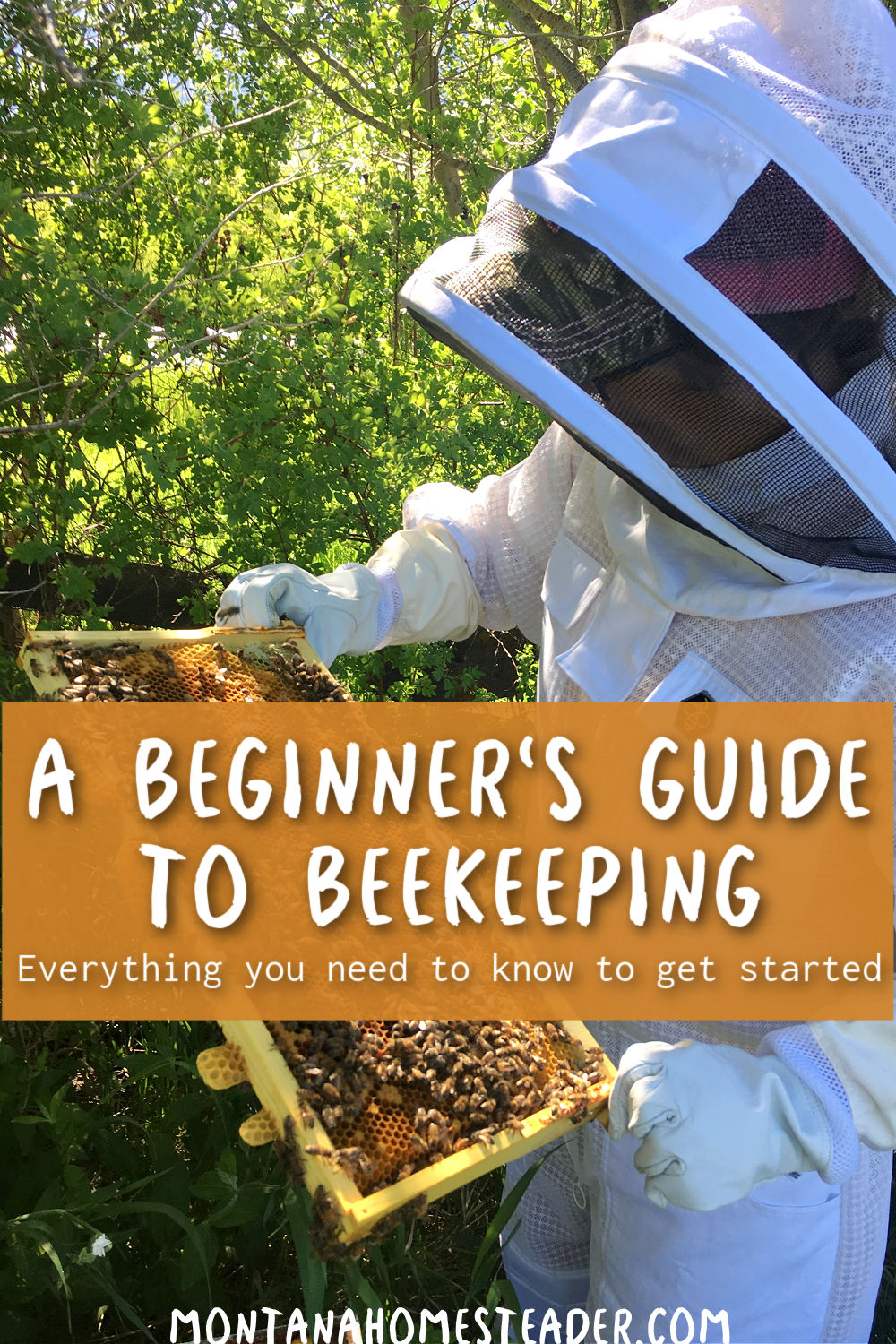 How to start beekeeping a beginner's guide learn everything you need to know picture of a beginner beekeeper in a beekeeping suit holding a frame of honey bees from a beehive
