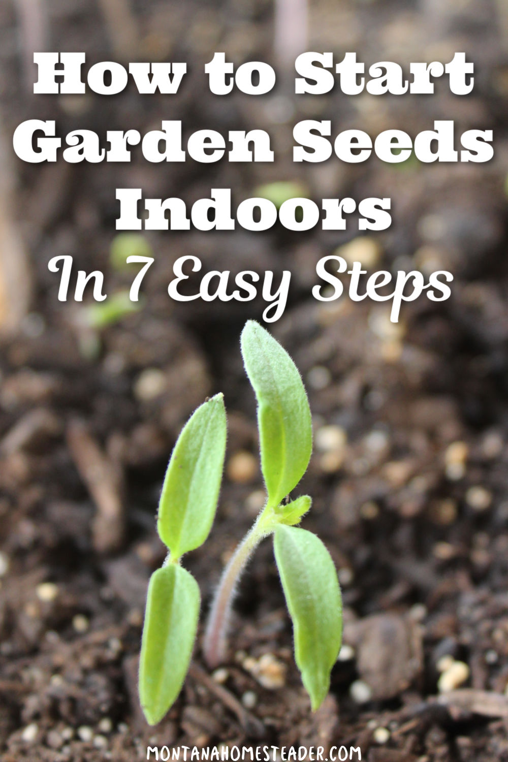 How to Start Vegetable Garden Seeds Indoors in 7 Easy Steps