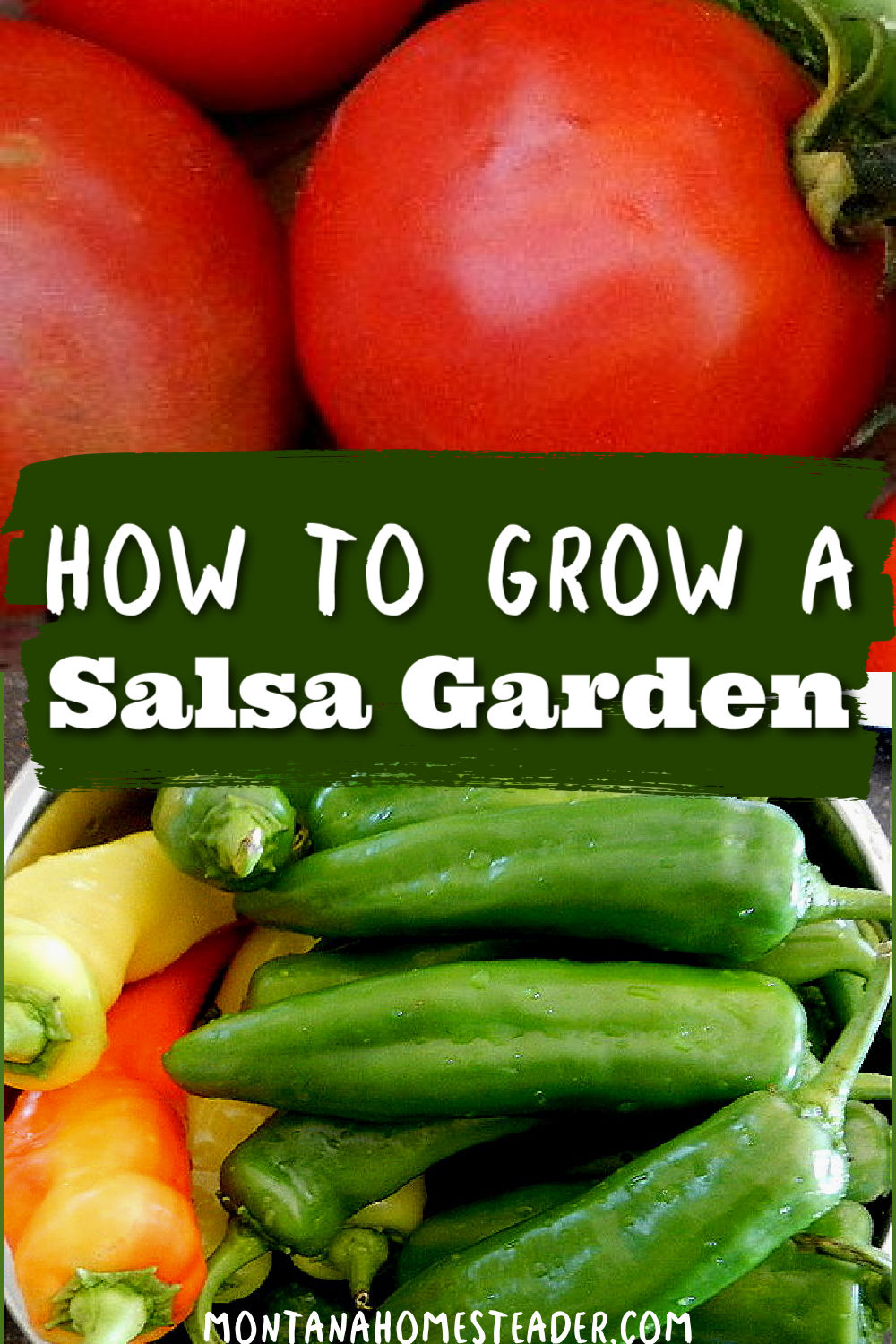 How to grow a salsa garden to make homemade salsa planting tomatoes peppers onions garlic cilantro