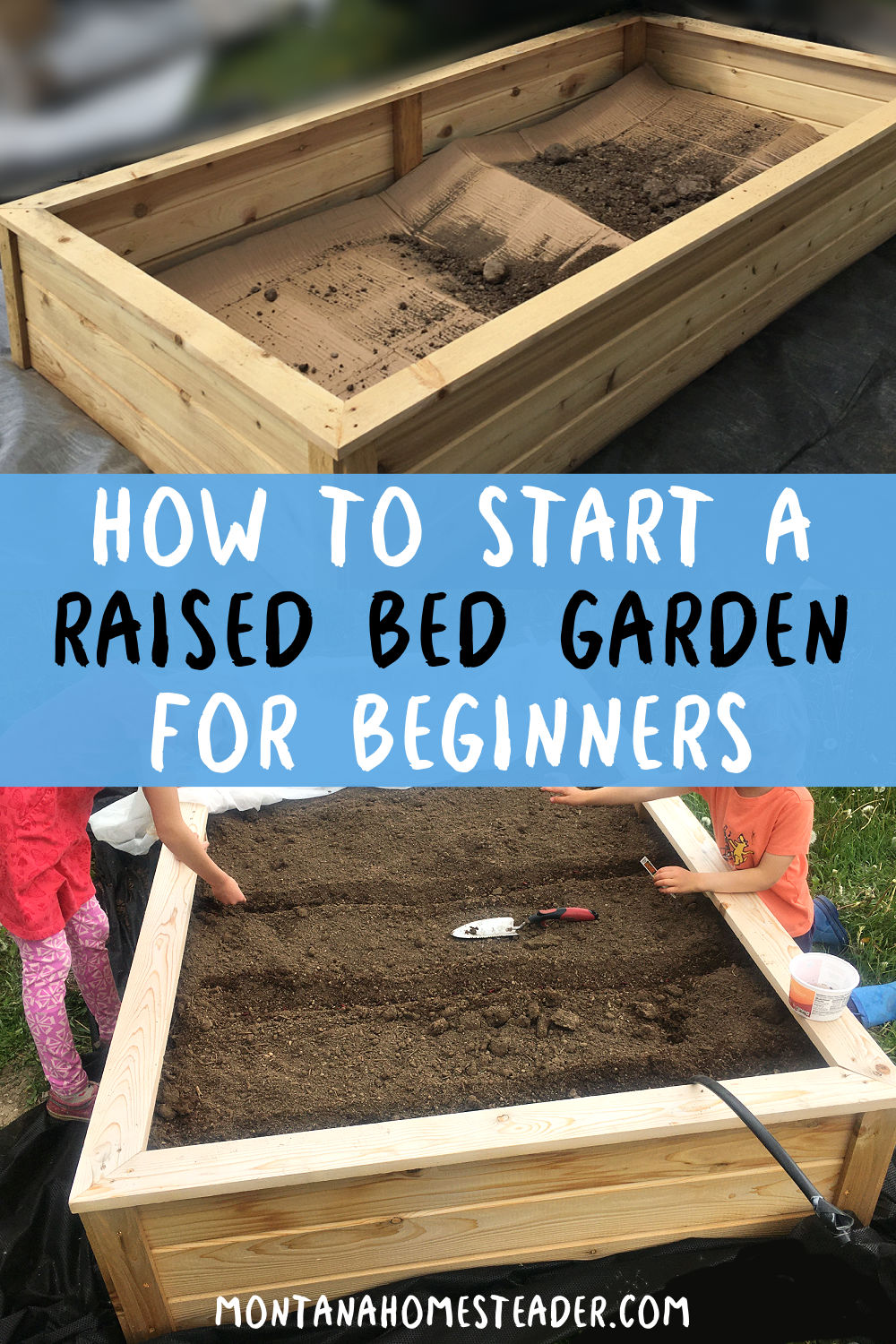 How to start a raised bed vegetable garden for beginners